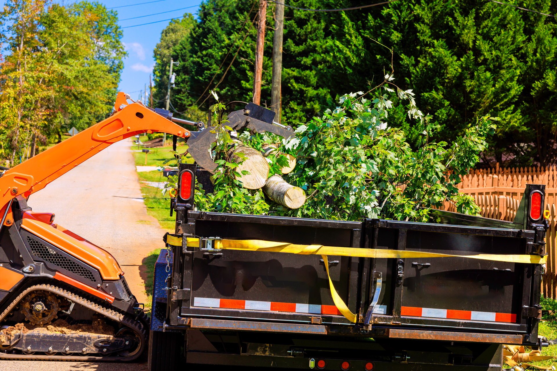 Yard debris and tree branches for removal